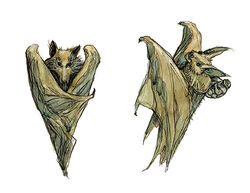 Bats2