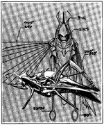 Locust