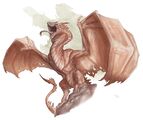 Wyvern 5e