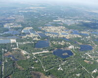 Florida swamp