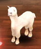 Alpacaorllama