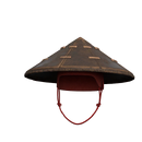 Conical Hat