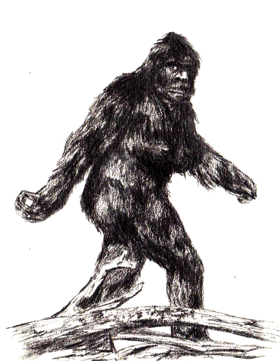 bigfoot walking drawing