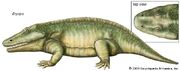 Eryops