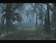 Forestofwind.jpg