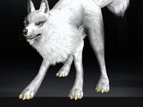 Lobo (Wolf)