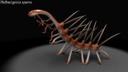 Hallucigenia recon.jpg