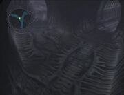 Idar int.jpg