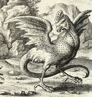 Basiliskillustration.jpg