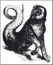 AmonDictionnaire Infernal