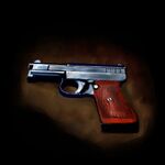 Mini-mauser.jpg