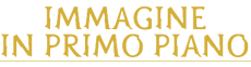 Immagine in primo piano