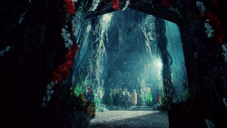 Corte Seelie TV.png