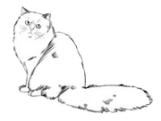 Кодекс Черч.png