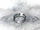 Anillo familiar Lightwood