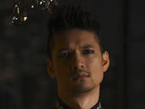 Magnus Bane (Serie)