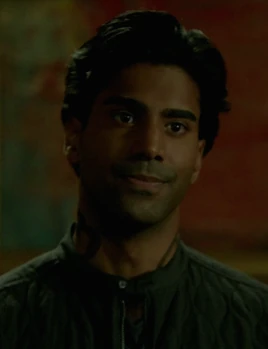 Raj (TV)