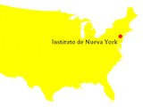 Instituto de Nueva York