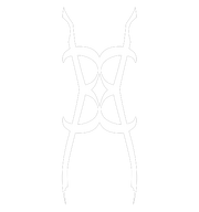 SHTV Shapeshifting rune