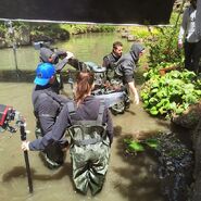 Filming, pond