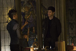 TMI309promo Malec01