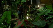 TMI201 Greenhouse02.png