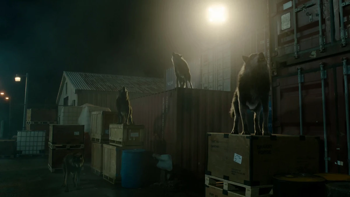 Loupgarou Wiki Shadowhunters TV Fandom