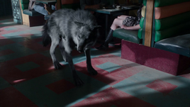Alaric loup