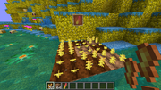 Food.png