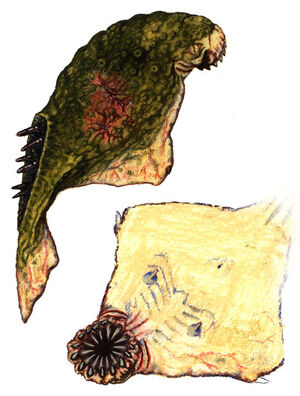 Dead fish