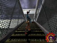 Marco Trueform.jpg (91 KB)