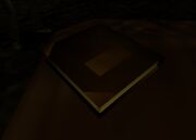 Jacks journal