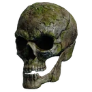 Нахмурившийся череп