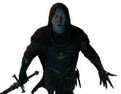 Ioreth, Wiki Sombras de Mordor