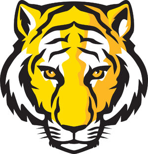 Shadowrun - Gold Tiger (Internet).jpg