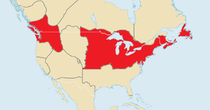 Irish Mafia (North America)