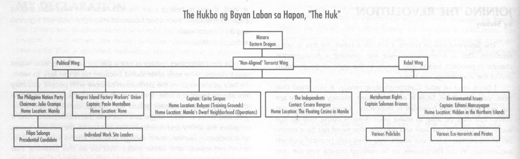 Huk network (organization)
