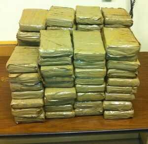 Drug Bricks (2011 AL.com)