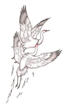 White Crane (Internet).jpg