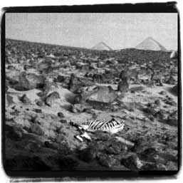 NASA Sentry Probe · Alpha Test · August 8, 2001 · Alpha Blue Priority · Top Secret Clearance... · ...Destroy if compromised