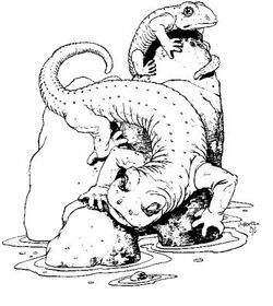 Nimue Salamanders.jpg