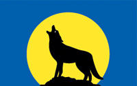 flag