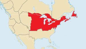 Greek Syndicates (North America)