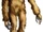 Sasquatch