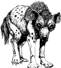 Aardwolf.png