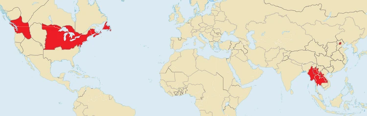 Yellow Lotus (customized map from ShadowHelix)