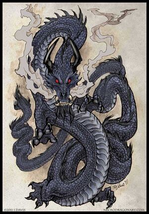 Black Dragon, 2nd version (Internet)