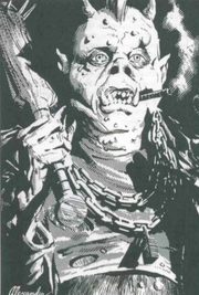 Cascade Ork (Shadowrun Sourcebook, 1st Ed)