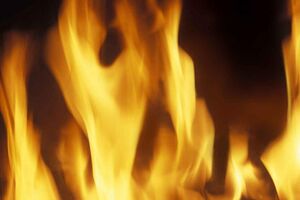 Golden Flames (Internet).jpg