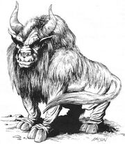 Wild minotaur